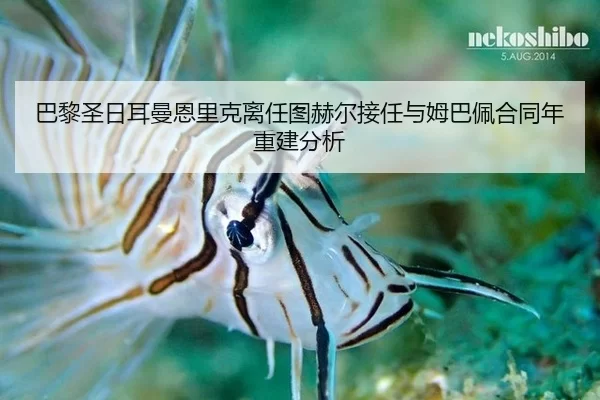 巴黎圣日耳曼恩里克离任图赫尔接任与姆巴佩合同年重建分析