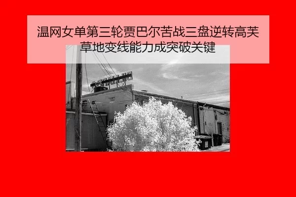 wen-wang-nv-dan-di-san-lun-jia-ba-er-ku-zhan-san-pan-ni-zhuan-gao-fu-cao-di-bian-xian-neng-li-cheng-tu-po-guan-jian-2-442.jpg