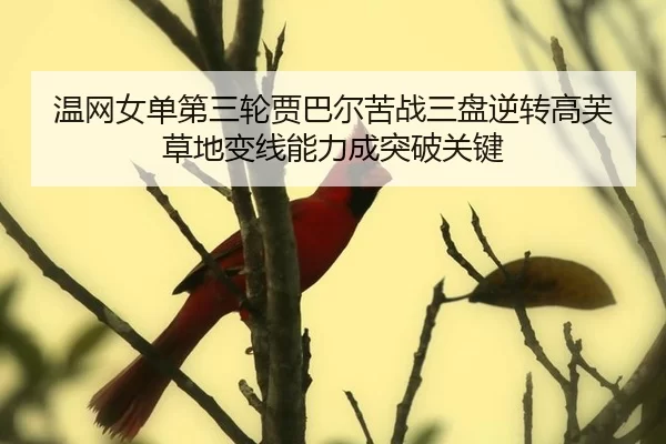 wen-wang-nv-dan-di-san-lun-jia-ba-er-ku-zhan-san-pan-ni-zhuan-gao-fu-cao-di-bian-xian-neng-li-cheng-tu-po-guan-jian-3-556.jpg