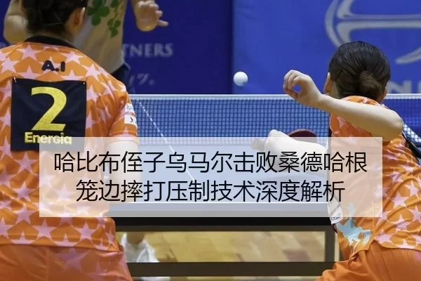 哈比布侄子乌马尔击败桑德哈根 笼边摔打压制技术深度解析